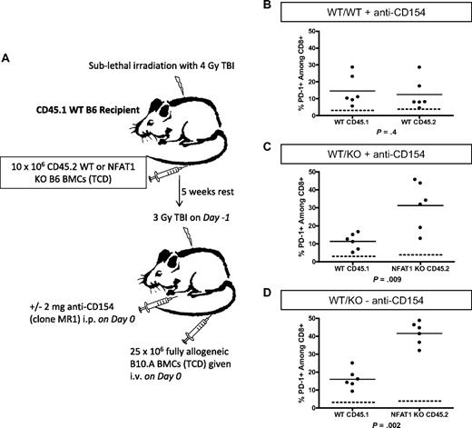 Figure 6. NFAT1 is not required for PD-1 up-regulation in vivo. Syngeneic chimeras with a mixture of WT CD45.1 and WT or NFAT1 KO CD45.2 BM were generated as depicted in panel A. On day 7 after allogeneic BMT, splenocytes were analyzed directly ex vivo for PD-1 expression on CD8 T cells. (B-D) The dotted line depicts basal levels of PD-1 expression in conditioned control animals receiving TBI but no BM. PD-1 expression on WT versus NFAT1 KO cells within the same animals was compared with (C) and without (D) administration of anti-CD154.