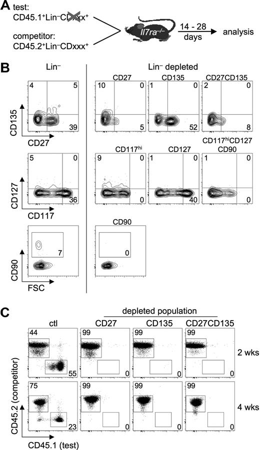 Figure 1. A depletion approach to analyze thymocytopoiesis under competitive conditions with near-normal precursor ratios. (A) Outline of the experimental approach. For details see “Results.” (B) Postsort analysis of lin− BM cells depleted of populations expressing various surface markers by FACS sorting (right panels). (Left panels) Sorted lin− BM cells. Numbers in gates and quadrants indicate the percentage of cells. (C) T-cell precursors are confined to CD27- and CD135-expressing cells under competitive conditions. Lin− BM cells from B6 CD45.1 mice (test) were depleted of CD27+ cells, CD135+ cells, or both, mixed with lin− BM cells from B6 CD45.2 mice (competitor), and transferred intravenously into Il7ra-deficient hosts. Ctl indicates mixture of nondepleted B6 CD45.1 lin− BM cells with B6 CD45.2 lin− BM cells. Donor-derived thymocytopoiesis was analyzed flow cytometrically 2 and 4 weeks after transfer. Representative FACS plots of test versus competitor ratios 2 weeks (top panels) and 4 weeks (bottom panels) after transfer. Numbers in gates indicate the percentage of cells. Combined analysis of 2 independent experiments with 2 mice per group.