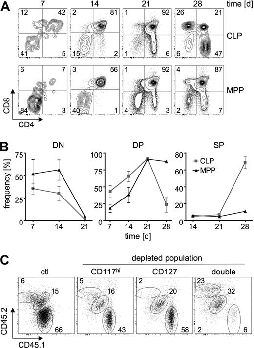 Figure 4. Differential intrathymic differentiation kinetics of MPPs and CLPs do not depend on differential thymus-seeding capacity. (A-B) Sorted lin−CD27+CD117hiSca-1+CD135+ MPPs and lin−CD27+CD117loSca-1loCD127+-CD135+ CLPs from B6 CD45.2 mice were intrathymically injected into B6 CD45.1 mice. Donor-derived cells were analyzed by FACS for the expression of CD4 and CD8 after 7, 14, 21, and 28 days. (A) Representative FACS plots of donor-derived (CD45.1+) thymocytes. Numbers in quadrants indicate frequency of donor-derived cells. (B) Analysis of donor-derived thymic subsets of at least 3 mice per group (DN: CD4−CD8−; DP: CD4+CD8+; SP: CD4+CD8− and CD4−CD8+). (C) Lin− BM cells from B6 CD45.1 mice (test) were depleted of CD117hi cells, CD127+ cells, or both (double), mixed with lin− BM cells from B6 CD45.1/CD45.2 mice (competitor), and transferred intravenously into Il7ra-deficient hosts. Ctl indicates mixture of nondepleted B6 CD45.1 lin− BM cells with B6 CD45.1/CD45.2 lin− BM cells. Five days after transfer thymocytes were harvested, cultured on OP9-DL1 cells for an additional 14 days, and analyzed for the expression of CD45.1 and CD45.2. Numbers indicate frequencies of cells in adjacent gates.