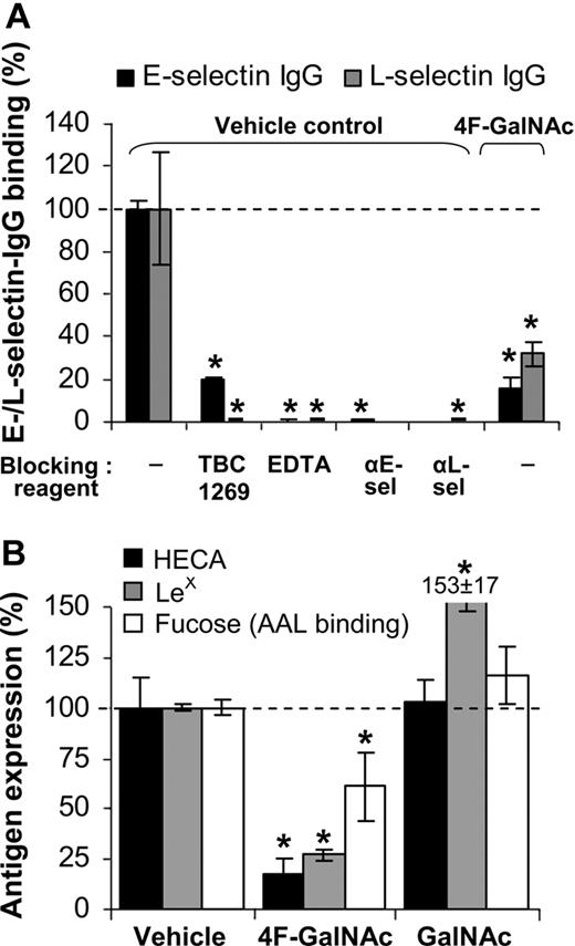 Figure 3. E-/L-selectin binding. (A) E-/L-selectin–IgG fusion protein binding to HL-60 cells was measured at t = 38 hours after protocols identical to Figure 2I through L, in the absence of prior neuraminidase treatment. In vehicle control runs, selectin binding was blocked by 80% to 100% on addition of 3mM sLeX analog (TBC1269), 5mM ethylenediaminetetraacetic acid, or 30 μg/mL antiselectin Ab (either EP5C7 against E-selectin or DREG56 against L-selectin). Culturing cells in the presence of 50μM 4F-GalNAc reduced E-/L-selectin binding by more than 70%. (B) LeX, sLeX expression and AAL lectin (binds α1,3/4/6-linked fucose antigen) binding were measured at 38 hours. 4F-GalNAc reduced LeX expression and AAL lectin binding. Data are mean ± SEM (N ≥ 3 experiments). *P < .05 with respect to vehicle control with no blocking reagent.