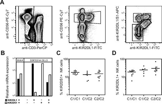 Figure 1. Expression of HLA-C2 does not influence the overall frequency of KIR2DS1+ NK cells. (A) Gating strategy to identify KIR2DS1- and KIR2DL1-expressing NK cells. CD56dim NK cells were defined within CD3− single live lymphocytes in an anti-CD56 versus anti-KIR2DL1 plot. KIR2DS1+KIR2DL1−, KIR2DS1+KIR2DL1+, and KIR2DS1−KIR2DL1+ NK cells were identified based on binding of anti-KIR2DL1 and anti-KIR2DL1/S1 mAbs. (B) Bulk NK cells and sorted KIR2DS1−KIR2DL1−, KIR2DS1+KIR2DL1−, KIR2DS1+KIR2DL1+, and KIR2DS1−KIR2DL1+ NK cells were analyzed for expression of KIR2DL1 and KIR2DS1 by real-time PCR. Expression relative to KIR2DL1−KIR2DS1− NK cells is shown. (C) The frequency of KIR2DS1+ NK cells among CD56dim NK cells in HLA-C1 homozygous (C1/C1), HLA-C1/C2 heterozygous (C1/C2), and HLA-C2 homozygous donors (C2/C2). (D) The frequency of KIR2DL1+ NK cells among CD56dim NK cells in HLA-C1 homozygous, HLA-C1/C2 heterozygous, and HLA-C2 homozygous donors. Horizontal bars represent the mean frequency of KIR2DS1+ and KIR2DL1+ NK cells. All graphs depict data on a log10 scale.