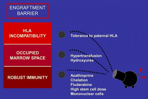 Multiple lines of attack are needed to break down the barrier to engraftment of haploidentical cells. The initial assault comprises strategies that reduce immune competence and suppress hematopoiesis. The second wave of attack overwhelms the host with mega-dose stem cells and exploits maternal-fetal tolerance.