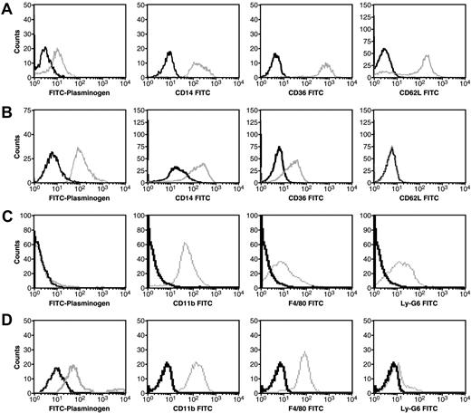 Figure 1. Specific plasminogen binding is enhanced by M-CSF treatment of human peripheral blood monocytes and Hoxa9-ER4 cells. Human peripheral blood monocytes were either untreated (A) or treated with 0.44 nM of M-CSF for 8 days (B) and Hoxa9-ER4 cells were either untreated (C) or treated with 20% LADMAC conditioned media (a source of M-CSF) for 2 days (D). The cells were analyzed by dual-color fluorescence-activated cell sorting (FACS) analysis for specific plasminogen binding and CD antigen expression as described.10 Viable (propidium iodide negative and annexin V negative) cells were gated from the nonviable cells. Histogram plots of FITC-plasminogen (left columns) or specific anti-CD antibody binding to viable cells are shown. Gray tracings indicate either FITC-plasminogen or specific anti-CD antibody; black tracings, either FITC-plasminogen + 0.2 M EACA or isotype controls.