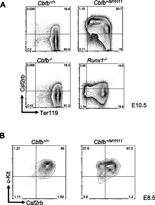 Figure 2. Csf2rb expression is related to Cbfb-MYH11–induced differentiation defects. (A) Representative FACS plots of Csf2rb and Ter119 staining in primitive blood cells from E10.5 embryos of the indicated genotypes. Percentage of cells in each gate is given. N ≥ 3 for all genotypes. (B) Representative FACS plots of Csf2rb and c-Kit staining in the primitive blood of E8.5 embryos of the indicated genotypes. N ≥ 3 for all genotypes.