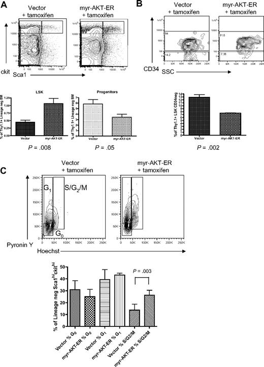 Figure 5. Short-term induction of AKT signaling causes expansion of the LSK compartment and increased LSK cycling. BMT assay with myr-AKT-ER or vector control retrovirus, followed by tamoxifen induction after engraftment for 3 days. (A) Multiparameter flow cytometric analysis of the Thy1.1-gated LSK and progenitor BM populations. The experiment was repeated 3 times, with 3 or 4 mice per group in each experiment. (B) Analysis of the Thy1.1-gated CD34−LSK BM subpopulation of myr-AKT-ER mice and vector control mice. The Student paired 2-tailed t test was used to compare the percentage Thy1.1+ CD34− LSK cells between samples. (C) Cell-cycle analysis of Thy1.1-gated BM LSKs from myr-AKT-ER mice or vector control mice. Hoechst and pyronin Y were used to resolve the G0, G1, and S/G2/M stages of the cell cycle. The experiment was repeated 3 times, with 2 to 4 mice per group in each experiment.
