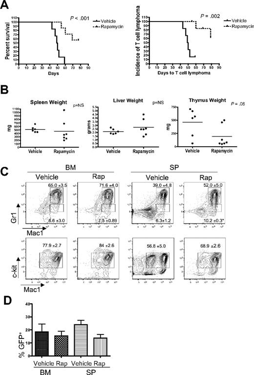 Figure 7. Rapamycin treatment reduces the incidence of T-cell lymphoma and leads to increased survival in myr-AKT mice. (A) Kaplan-Meier survival curve of myr-AKT mice given daily intraperitoneal injections of vehicle (n = 6) or 4 mg/kg rapamycin (n = 7), starting at 4 weeks after transplantation. The curve on the left represents overall survival, whereas the curve on the right shows the incidence of T-cell lymphoma, here defined as an enlarged thymus weighing more than 200 mg. (B) Organ weights of vehicle- and rapamycin-treated myr-AKT mice at the time of death. (C) Flow cytometric analysis of the myeloid lineages of BM and spleen (SP) single-cell suspensions from representative vehicle- and rapamycin-treated myr-AKT mice. All were gated for GFP+ cells. Values are mean ± SEM. *P < .05. (D) Percentage of GFP+ cells in the BM and spleen of vehicle- and rapamycin-treated myr-AKT mice.