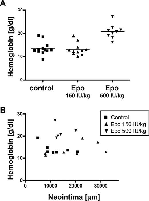 Figure 2. No correlation between hemoglobin levels and intima size. (A) Hemoglobin levels in the blood of mice were determined at the end of the study. Data of individual mice and means of different treatment groups are indicated. (B) Regression analysis was performed on hemoglobin levels and intimal area.