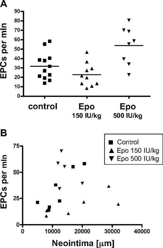 Figure 3. No correlation between endothelial progenitor cell numbers and intima size. (A) The number of endothelial progenitor cells (EPCs; Ter119−/CD45lo/c-Kit+/Sca1+) in peripheral blood was determined at the end of the study. Data of individual mice and means of different treatment groups are indicated. (B) Regression analysis was performed on endothelial progenitor cell numbers and intimal area.