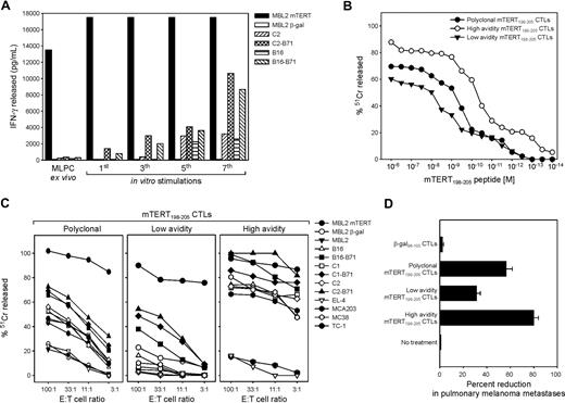 Figure 1. Functional characterization of mTERT198-205-specific T lymphocytes. (A) Recognition of different syngenic tumor cells by mTERT-specific bulk T cells after repeated in vitro stimulations. T cells from different in vitro passages were incubated with an equal number of tumor cells for 24 hours and supernatants tested for released IFN-γ by ELISA. (B) Comparison of functional avidity of mTERT198-205-specific bulk CTLs with high- and low-avidity CTL clones. The functional avidity was evaluated in 51Cr release assay against MBL-2 target cells loaded with different mTERT198-205 peptide concentrations at an effectors to target ratio of 10:1. (C) The mTERT-specific bulk T cells (left), the high-avidity (middle), and the low-avidity (right) clones were tested at different effectors to target cells ratios for cytotoxic activity against several different murine tumor cell lines by use of a 51Cr release assay. The representative of 3 experiments is shown. (D) Therapeutic effectiveness of mTERT198-205-specific CTLs. ACT was performed by the use of a melanoma metastatic model. Histograms show the mean ± SD of percentage reduction in the number of pulmonary metastases for melanoma-bearing mice inoculated with either mTERT-specific (polyclonal, high-avidity, and low-avidity) or β-gal–specific CTLs. Data are from 2 cumulative independent experiments. (Student t test: polyclonal mTERT vs β-gal, P = .001; low-affinity mTERT vs β-gal, P = .001; high-affinity mTERT vs β-gal, P < .001.)