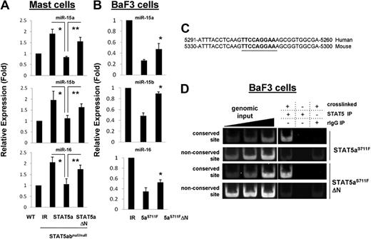 Figure 3. STAT5 regulates bcl-2 posttranscriptionally through the mIR-15/16 cluster. (A) Level of miR-15a, miR-15b, and miR-16 was quantitated by RT-PCR from wild-type or STAT5abnull/null mast cell cultures that were transduced with either IR-GFP–, STAT5a-, or STAT5aΔN-expressing vectors (*IR vs STAT5a, P < .05; **STAT5a vs STAT5aΔN, P < .05; Student t test). (B) The level of miR-15a, miR-15b, and miR-16 was assayed in BaF3 cells expressing IR-GFP, STAT5aS711F, or STAT5aΔNS711F; *STAT5aS711F vs STAT5aΔNS711F, P < .05. Error bars represent SD of the mean. (C) Shown is the conserved STAT5-binding site in the promoter of miR-15b/16-2. The numbers indicate the distance upstream from the start site for miR-15b. (D) ChIP data display STAT5aS711F and STAT5aΔNS711F bound to the conserved binding site near the miR15/16 cluster in BaF3 cell extracts. The nonconserved site is approximately 8 kb upstream of the starting site of miR-15b and is included as a control.