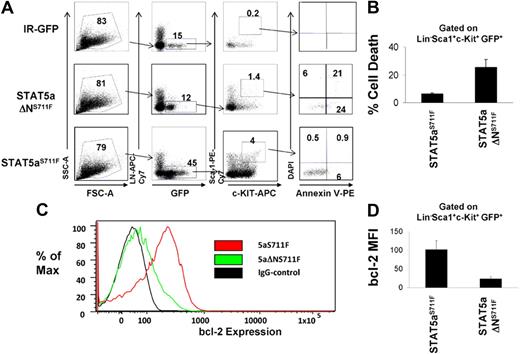 Figure 4. KLS cells expressing STAT5aΔNS711F have reduced survival and bcl-2 expression. (A) STAT5abnull/null FL cells at E14.5 and E15.5 were transduced with either MSCV/IRES-GFP vector control (IR), STAT5aS711F, or STAT5aΔNS711F, followed by transplantation into lethally irradiated recipient mice. Fifteen days later, apoptosis was assayed on the GFP+c-Kit+Lin−Sca-1+ (GFP+KLS) fraction of BM cells from each group by annexin V–DAPI assay. Early apoptotic cells were defined as annexin V+ DAPI−. A representative flow cytometric plot shows annexin V and DAPI gating on GFP+ KLS cells among 3 groups. (B) Percentage of annexin V+ DAPI– GFP+ KLS cells from 3 independent mice among each group (STAT5aS711F vs STAT5aΔNS711F, P < .01; Student t test). Error bars represent SD of the mean. (C) A representative histogram showing bcl-2 expression in GFP+KLS cells. (D) Bcl-2 expression was determined by mean fluorescence intensity minus IgG background after intracellular staining (STAT5aS711F: n = 4, STAT5aS711FΔN: n = 3; STAT5aS711F vs STAT5aΔNS711F, P < .01; Student t test). Error bars represent SD of the mean.