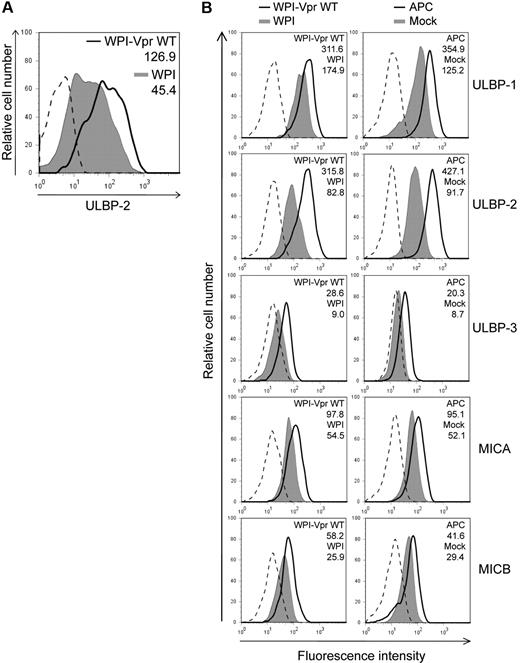 Figure 3. Up-regulation of cell-surface NKG2D ligands in cells expressing HIV-1 Vpr. (A) Human primary CD4+ T lymphocytes were transduced with lentiviral vectors expressing GFP alone (WPI) or coexpressing GFP and VprWT (WPI-VprWT). GFP-expressing cells were monitored for ULBP-2 cell-surface expression by flow cytometry 48 hours after transduction using specific mAbs directed against ULBP-2 and appropriate fluorochrome-conjugated secondary reagents. (B) CEM.NKR T cells were transduced with WPI-VprWT or WPI lentiviral vectors or treated with APC (4μM) as indicated. Cell-surface expression of NKG2D ligands was monitored on the GFP-expressing cells 48 hours after transduction or after a 24-hour treatment with APC, using specific mAbs directed against ULBP-1, -2, and -3, MICA, MICB, and appropriate fluorochrome-conjugated secondary reagents. MFI values were calculated by subtracting the corresponding isotype control values (dashed line). Results shown are representative of the data obtained from at least 2 independent experiments.