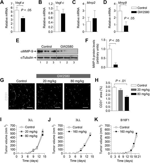 Figure 4. Angiogenesis and growth kinetics of tumors treated with GW2580. (A-D) Tumors were harvested on day 14 after tumor implantation and GW2580 treatment, and mRNA expression was quantified using RT-PCR for the stated genes. Relative mRNA expression was normalized to β-actin (n = 6/group). (E) MMP-9 protein levels from tumors were analyzed by Western blot and normalized to α-tubulin. (F) Quantification of MMP-9 protein levels by ImageJ software (n = 3/group). (G) Representative CD31+ vascular staining of 3LL tumors from control and GW2580-treated mice is shown. (H) Quantification of CD31+ area was performed using ImageJ software (n ≥ 5/group). Tumor volume was monitored by caliper measurements of 3LL tumors (I-J; n = 6/group) and B16F1 tumors (K; n = 3/group) in mice treated with control diluent, 20 mg/kg, or 80 mg/kg GW2580 twice a day, or 160 mg/kg GW2580 once daily. Scale bars represent 100 μm.