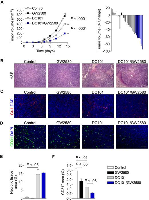 Figure 6. Synergistic tumor growth reduction and inhibition of angiogenesis by combination therapy with GW2580 and anti–VEGFR-2 antibody DC101. 3LL tumors were subcutaneously implanted and mice were treated with control diluent, GW2580 or DC101 alone, or a combination of DC101/GW2580 for 14 days. (A) Tumor volume was monitored by caliper measurements. Tumor volume is presented as the average tumor volume (mm3) per group over time and as a waterfall plot of tumor volume (% change) of each animal per group at day 14 (n = 5-9/group). At day 14, tumors were harvested and subjected to histologic analysis of hematoxylin and eosin (B), Gr-1+ MDSCs with DAPI (C), and CD31+ vessels with DAPI (D). Necrotic tissue area (E) and CD31+ area (F) were quantified using ImageJ software (n ≥ 5/group). Data represent combined averages from 2 independent animal experiments. Scale bars represent 100 μm.