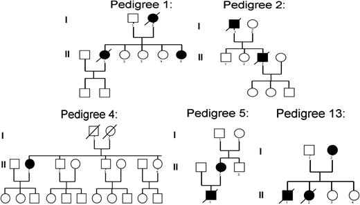 Figure 1. Pedigrees of the kindreds with multiple affecteds demonstrating autosomal dominant pattern of transmission.