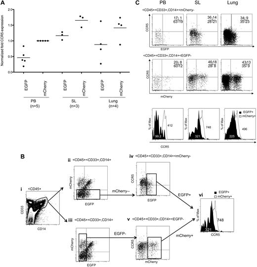 Figure 6. CCR5 down-regulation in EGFP-expressing human monocyte/macrophage population in multiple lymphoid organs. (A) Normalized mean CCR5 expression was compared in EGFP+ and mCherry+ human CD14+/CD33+ monocyte/macrophage population in multiple tissues. Bar represents mean value. Samples were analyzed between 14 and 20 weeks after intravenous CD34+ cell injection. Aggregate difference, comparing CCR5 expression in EGFP+ versus mCherry+ cells in all tissues, was statistically significant by Student t test (P < .001). (B) Gating strategies are the same as shown in Figure 5B except for the use of CD14 and CD33 markers. (C) Representative data showing CCR5 expression in CD14+/CD33+ monocyte/macrophage population.