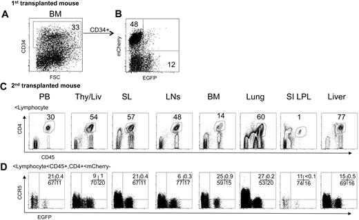 Figure 7. CCR5 down-regulation in second transplanted mice. The bone marrow cells from an EGFP- and mCherry-expressing transplanted donor mouse were isolated and analyzed for CD34 (A) and EGFP and mCherry expression (B). (C-D) Bone marrow cells were directly injected into a thy/liv tissue and intravenously in irradiated recipient mice (n = 2). (C) Human CD4+/CD45+ population was identified in gated lymphocyte population in multiple tissues 14 weeks after bone marrow cell injection. (D) CCR5 expression in EGFP+ and EGFP− population was examined in the gated mCherry−/CD4+/CD45+ population. Data from a representative mouse are shown.