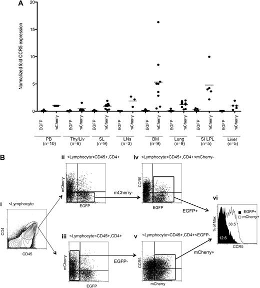 Figure 5. Efficient CCR5 down-regulation in human CD4+ T lymphocytes in multiple lymphoid organs. (A) The level of CCR5 expression was compared in EGFP+ and mCherry+ human CD4+/CD45+ lymphocytes in lymphoid tissues from multiple transplanted mice. We normalized CCR5 expression level using the mean CCR5 expression in mCherry+ cells from peripheral blood (PB) as 1. Samples were obtained between 14 and 20 weeks after intravenous CD34+ cell injection. Bar represents mean value; n indicates number of samples. Aggregate difference, comparing CCR5 expression in EGFP+ versus mCherry+ cells in all tissues, was statistically significant by Student t test (P < .001). (B) A representative gating scheme. (i) The human CD4+/CD45+ population was identified in the gated lymphocyte population in spleen. (ii-iii) EGFP and mCherry expression was identified in the CD4+/CD45+ gated population. (iv) mCherry− population was further gated to analyze CCR5 expression in EGFP+ and EGFP− population. (v) EGFP− population was further gated to analyze CCR5 expression in mCherry+ and mCherry− population. (vi) The mean fluorescent intensity of CCR5 expression was compared in EGFP+ and mCherry+ population. (C-D) Representative data showing CCR5 down-regulation in multiple lymphoid tissues from a mouse with the highest CCR5 basal expression. (E) Additional dataset from mouse reconstituted with different donor. Data were analyzed as shown in panel B.