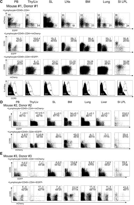 Figure 5. Efficient CCR5 down-regulation in human CD4+ T lymphocytes in multiple lymphoid organs. (A) The level of CCR5 expression was compared in EGFP+ and mCherry+ human CD4+/CD45+ lymphocytes in lymphoid tissues from multiple transplanted mice. We normalized CCR5 expression level using the mean CCR5 expression in mCherry+ cells from peripheral blood (PB) as 1. Samples were obtained between 14 and 20 weeks after intravenous CD34+ cell injection. Bar represents mean value; n indicates number of samples. Aggregate difference, comparing CCR5 expression in EGFP+ versus mCherry+ cells in all tissues, was statistically significant by Student t test (P < .001). (B) A representative gating scheme. (i) The human CD4+/CD45+ population was identified in the gated lymphocyte population in spleen. (ii-iii) EGFP and mCherry expression was identified in the CD4+/CD45+ gated population. (iv) mCherry− population was further gated to analyze CCR5 expression in EGFP+ and EGFP− population. (v) EGFP− population was further gated to analyze CCR5 expression in mCherry+ and mCherry− population. (vi) The mean fluorescent intensity of CCR5 expression was compared in EGFP+ and mCherry+ population. (C-D) Representative data showing CCR5 down-regulation in multiple lymphoid tissues from a mouse with the highest CCR5 basal expression. (E) Additional dataset from mouse reconstituted with different donor. Data were analyzed as shown in panel B.