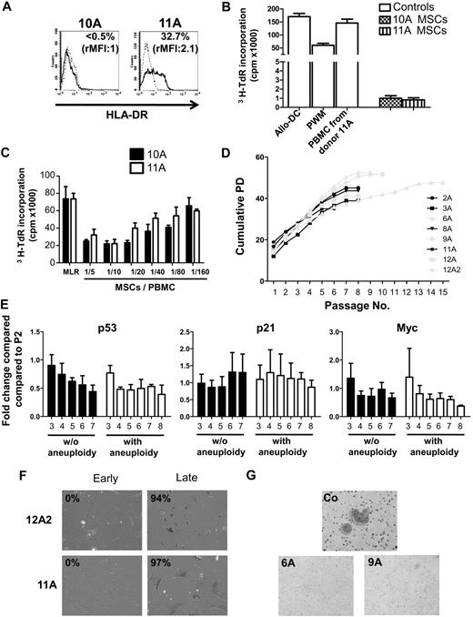 Figure 1. Immunologic and genetic characterization of clinical-grade human MSCs. (A-C) Immunologic properties of 2 representative MSC productions obtained from donors 10 and 11 using FCS/FGF-2 were evaluated at the end of P1. (A) HLA-DR expression was quantified by flow cytometry. The percentage of positive cells and the rMFI (mean fluorescence intensity of HLA-DR/mean fluorescence intensity of Ig specific control) are indicated on the top right of each panel. (B) Responding PBMCs (105/well) were stimulated both with allogeneic MSCs from donors 10A and 11A (105/well) and with allogeneic mature dendritic cells (allo-DC, 104/well), 0.5 μg/mL pokeweed mitogen (PWM), and γ-irradiated PBMCs from the MSC donor when available (105/well) as positive controls. Each experiment was performed in sextuplicate culture wells. After 5 days of culture, cells were pulsed with tritiated thymidine (3H-TdR) for the last 16 hours, harvested, and counted on a liquid scintillation analyzer. (C) Responding PBMCs (105/well) were stimulated for 5 days with irradiated stimulator allogeneic PBMCs (105/well) in the absence (MLR) or presence of decreasing number of third-party MSCs. Each experiment was performed in sextuplicate culture wells. Cells were pulsed with tritiated thymidine (3H-TdR) for the last 16 hours, harvested, and counted on a liquid scintillation analyzer. (D) Growth profile of MSCs that exhibited (gray line) or not (dark line) karyotypic abnormalities. (E) Quantitative analyses of the expression of p53, p21, and c-myc cell-cycle regulators along passages. Each result was normalized to ABL and compared with expression levels in P2 MSCs. The arbitrary value of 1 was assigned to P2 MSCs. (F) SA-β-Gal staining of MSCs, which exhibited (12A2) or not (11A) karyotypic abnormalities, was performed at early (P3 and P2, respectively) and late (P13 and P7, respectively) passages. The percentages of positive cells are indicated on the top left of each panel. Original magnification ×10. (G) Culture in soft agar was performed at P7 for 2 MSCs that exhibited karyotypic abnormalities. HeLa cell line was used as a positive control. Original magnification ×10. Image acquisition details: Nikon Eclipse TE2000-S microscope, 10×/0.25 numeric aperture objective lens, Nikon DXM1200F digital camera, Lucia Version 5.00 software.
