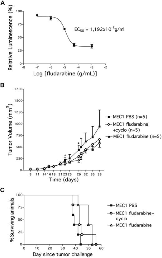 Figure 5. Fludarabine impacts on the growth of MEC1 cells in vitro and in vivo. (A) MEC1 cells were plated in vitro in 48-well plates with increasing concentrations of fludarabine and a luminescent assay was performed 72 hours later to demonstrate MEC1 cells' sensitivity to the drug. EC50 indicates half maximal effective concentration (11.9 g/mL). (B) Tumor growth curves obtained in Rag2−/−γc−/− male mice that received a transplant subcutaneously in the left flank of MEC1 cells (10 × 106). Twenty-one days later, mice bearing MEC1 tumor were randomly assigned to one of the following intraperitoneal treatments (5 animals/group): saline solution (PBS), fludarabine alone (34 mg/kg) daily on days 21 to 25, or fludarabine (0.625 mg/kg) + cyclophosphamide (6.25 mg/kg) daily on days 21 to 23. The treatment was repeated 3 times every 2 weeks. Tumor size was evaluated by measuring perpendicular diameters by a caliper. Animals were killed when the tumor volume reached 1000 mm3. Measurements were stopped when 75% of originally treated mice were still surviving. *Statistically significant differences calculated using the Student t test: day 23, PBS versus fludarabine, P = .01; day 29, PBS versus fludarabine, P = .012, and PBS versus fludarabine + cyclophosphamide, P = .038. Data are representative of at least 2 independent experiments. (C) Kaplan-Meier survival curves for Rag2−/−γc−/− male mice challenged subcutaneously in the left flank with MEC1 cells. Twenty-one days later, mice bearing MEC1 tumor were randomly assigned to one of the following intraperitoneal treatments (5 animals/group): PBS, fludarabine alone (34 mg/kg) daily on days 21 to 25, or fludarabine (0.625 mg/kg) + cyclophosphamide (6.25 mg/kg) daily on days 21 to 23. The treatment was repeated 3 times every 2 weeks. Tumor size was evaluated by measuring perpendicular diameters by a caliper. Animals were killed when the tumor volume reached 1000 mm3.