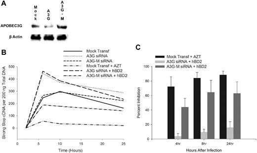 Figure 7. Intracellular inhibition of HIV by hBD2 is mediated by the induction of APOBEC3G. (A) siRNA knockdown of APOBEC3G in CD4+ T cells. (B) CD4+ T cells transfected with APOBEC3G-specific siRNA or mutant APOBEC3G siRNA were infected with X4 (IIIB) HIV. After virus removal and washing, hBD2 (20 μg/mL) was added to the tissue culture media. Total cellular DNA was isolated at the indicated time points, and the presence of early reverse transcription products was determined by real-time PCR. (C) Triplicate readings were averaged, and inhibition was determined as a percentage of the number of copies of early reverse transcription products in infected treated cells in reference to copies measured in untreated control infections. Shown here are mean percentage of inhibition (± SEMs) of 4 independent experiments that used cells from different donors.