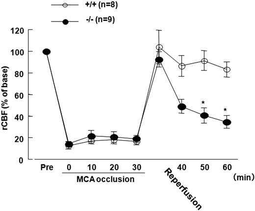 Figure 1. Effect of Adamts13 gene deletion on rCBF in mice of 30-minute MCAO model. Male Adamts13−/− (−/−) mice and wild-type (+/+) mice in an SV129-genetic background were used to study the effect of ADAMTS13 deficiency on brain ischemia: −/− (n = 25) and +/+ (n = 25) mice (8-10 weeks of age, 20-23 g of body weight). The focal cerebral ischemia (30-minute MCAO by intraluminal thread) was induced in the −/− (n = 20) and +/+ (n = 20) mice as previously described (sham surgery in −/−, n = 5; and +/+, n = 5). This study was approved by the institutional ethics committee at Nara Medical University. The rCBF was measured by LDF (ALF21; Advance Co). The rCBF was recorded over time (immediately before and after MCAO; 10, 20, and 30 minutes after MCAO; immediately after reperfusion; and 10, 20, and 30 minutes after reperfusion). The rCBFs during occlusion and reperfusion were expressed as a percentage of the baseline LDF value. The rCBF decreased to less than 20% of the baseline value during 30 minutes of MCAO and returned to the baseline immediately after reperfusion in both −/− and WT mice. The rCBF in −/− mice, however, progressively decreased more markedly compared with that in +/+ after reperfusion (percentage rCBF: −/−, n = 9, vs +/+, n = 8, at 20 and 30 minutes after reperfusion; 40.8 ± 7.1 vs 91.4 ± 9.1, and 34.6 ± 5.8 vs 83.2 ± 6.8, respectively). *P < .05 vs WT, Scheffé test after 2-way repeated-measures analysis of variance (F(8,134) = 6.668, P < .01). Values are mean ± SEM.