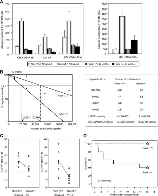 Figure 1. Runx1−/− status leads to stem cell exhaustion. (A) Absolute number of KSL CD34−Flt3− cells, Lin− SP cells, KSL CD34+Flt3+ cells and KSL CD34+Flt3− cells per 0.5 million BM cells from Runx1+/+ and Runx1−/− mice of 2 distinct ages (10 and 40 weeks old). Each group comprises 3 to 4 mice. (B) Limiting dilution analysis using varying numbers of BM cells from 40-week-old CD45.2+ Runx1+/+ (▲), or Runx1−/− (■) mice. Mice were considered negative when the percent chimerism was less than 1%. Left panel: estimated frequencies of the repopulating cells are indicated as vertical dashed lines (1 repopulating cell per indicated numbers of BM cells) for each genotype. Right panel: for each indicated number of transplanted cells from CD45.2+ Runx1+/+ or Runx1−/− mice, the proportion of mice that are positive for test CD45.2+ cells is given as (number of positive mice)/(number of analyzed mice). Frequencies of HSCs were calculated using Poisson statistics. (C) GFP chimerism in PB of recipients of Runx1+/+ (n = 6) and Runx1−/− (n = 6) cells at 6 and 40 weeks after transplantation. Each open circle represents data from an individual mouse and each closed circle is the average of a cohort. Statistical difference using unpaired Student t test is given at the bottom. NS indicates not significant. (D) Kaplan-Meier survival curves of secondary recipients of mock MIG vector–transfected Runx1+/+ (dashed line; n = 10) and Runx1−/− (solid line; n = 10) BM cells. Circles represent end point of analysis.