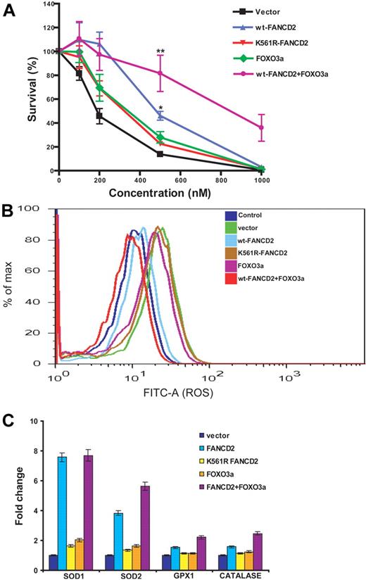 Figure 2. Coexpression of FANCD2 and FOXO3a increases cellular resistance to oxidative stress. (A) PD20 cells were infected with retroviruses carrying vector, wt-FANCD2, K561R-FANCD2, FOXO3a, or both wt-FANCD2 and FOXO3a. The transduced cells were treated with H2O2 at the indicated doses for 16 hours. Cell survival was determined by luminescence and is shown as the percentage of the untreated cells. Mean values and SD from 3 independent determinations are shown. Statistical significance between vector and wt-FANCD2 + FOXO3a or wt-FANCD2 samples: **P < .01; *P < .05. (B) Transduced cells described in panel A were labeled with fluorescein isothiocyanate–conjugated CM-H2DCFDA, and levels of ROS were determined by flow cytometric analysis. (C) Expression of FOXO3a-targeted genes encoding antioxidant proteins. Transduced cells described in panel A were treated with H2O2 at 100μM for 12 hours. Total RNA was prepared, and gene expression was analyzed by real-time PCR. Data were presented as fold change in mRNA expression relative to glyceraldehyde-3-phosphate dehydrogenase in vector-transduced cells, which was given an arbitrary level of 1.0 for each gene. Results are mean ± SD of 3 independent experiments.
