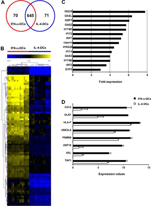 Figure 1. Effect of IFN-α on the gene expression profile of monocyte-derived DCs. (A) Venn diagram showing the numbers of differentially expressed genes in IFN-α DCs and IL-4 DCs with respect to monocytes treated with GM-CSF alone. (B) Signature clusters of the 70 differentially expressed genes in IFN-α DCs compared with the same genes in IL-4 DCs. Yellow and blue colors denote increased and decreased gene expression, respectively, compared with values of common control. (C) Fold increase in the expression of selected up-modulated genes in IFN-α DCs versus control, expressed as CrossLogRatio values. (D) Expression values of selected genes linked to phagocytosis/endocytosis and Ag-processing pathways in IFN-α DCs and IL-4 DCs, expressed as log intensities (error bars indicate SD).