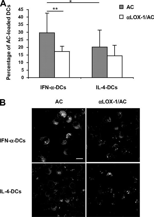 Figure 4. IFN-α DCs are endowed with high capability to capture ACs via LOX-1 receptor. (A-B) DCs were cocultured with PHK26-PE–labeled AC, in the presence or in absence of anti–LOX-1 mAb. Phagocytosis was evaluated by flow cytometry (A) and by CLSM (B, scale bars = 10 μm). Bars in panel A represent the mean ± SD percentage of AC-loaded DCs as double-positive cells; **P = .018 (n = 7); *P = .066 (n = 4).