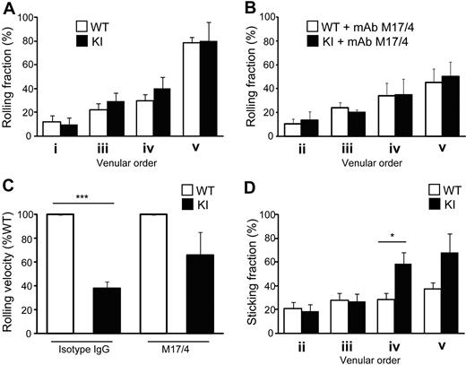 Figure 4. Adhesive interactions of T cells with lymph node vessels studied by epifluorescent IVM on inguinal LNs. (A-B) Rolling fractions. WT and αL-I306A T cells showed comparable rolling fractions in the absence (A) or presence (B) of LFA1 blocking antibody M17/4. (C) Rolling velocity on high-order venules. αL-I306A T cells rolled slower on high-order LN venules than WT. After LFA-1 blockade by M17/4 antibody, both cell types showed comparable rolling velocity. (D) Sticking fractions of WT and KI cells. The fraction of sticking cells was increased for αL-I306A T exclusively on IV and V order venules. Data are expressed as the mean ± SEM of 3 independent experiments. Two-tailed Student t test was used for statistical analyses. Statistical significance was defined as *P < .05 or ***P < .001.