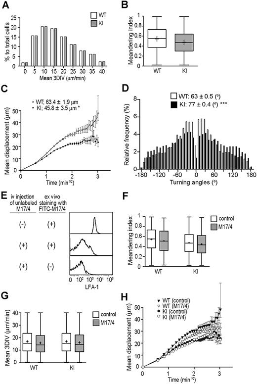 Figure 7. MP-IVM investigations on T-cell interstitial motilities. Motility parameters were measured 18 to 24 hours after adoptive transfer of WT and αL-I306A T cells in C57BL/6 mice. (A) Mean 3D instantaneous velocity (3D-IV). (B) Meandering index. (C) Motility coefficient. (D) Tuning angles. (E) FACS histograms showing a staining of PLN T cells with FITC-labeled anti–LFA-1 mAb M17/4. T cells were isolated from either mice that had been administered with unlabeled M17/4 (middle panel) or those that had been mock treated (top panel). Please note that prior in vivo administration of unlabeled M17/4 competed for LFA-1 with FITC-M17/4. (F-G) Motility parameters after LFA-1 inhibition with M17/4. M17/4 treatment affected neither meandering index (F), mean 3DIV (G), nor motility coefficient (H) of WT and KI cells. (A-H) A representative result from 3 independent experiments is shown. (C,H) Data are expressed as the mean values ± SEM. Data are expressed as mean values ± SEM (B,F-G). The line in the box-plot indicates the mean values, and the top and the bottom of the box represent the maximum and minimum values, respectively. The data are from 3 independent experiments. Two-tailed Student t test was used for statistical analyses. Statistical significance was defined as *P < .05 or ***P < .001.
