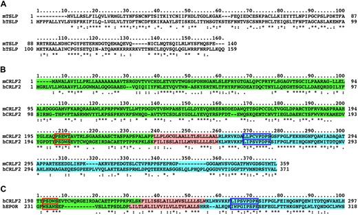 Figure 2. Sequence alignments of TSLP, CRLF2, and EPOR. (A) Lack of homology of mouse and human CRLF2 amino acid sequences. Extracellular domain (green), transmembrane region (pink), and intracellular domain (blue). Blue box represents box 1 necessary for JAK activation; red box, cytokine receptor motif WSXWS sequence. (*) denotes identity; (:) indicates strong homology; and (.) indicates weak homology. (B) Lack of homology of mouse and human TSLP amino acid sequences. (C) Comparison of human CRLF2 and EPOR to show limited homology within box 1 of both proteins.