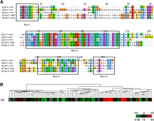 Figure 3. Comparison of ID4 amino acid sequences and RNA expression in BCP-ALL. (A) Protein sequence comparison of the human ID proteins. The region of highest homology between ID family proteins is within the HLH region (box 2), although there are other small areas of homology (boxes 1, 3, and 4). An amino-terminal CDK2-dependent phosphorylation site has been identified (SPVR) in all IDs except ID1 (box 1).86 All members except ID3 contain a D-box region (RXXLXXXN in box 3) that targets the protein for proteosomal degradation.48 Phosphorylation status may have implications for nuclear localization and cell-cycle effect of ID proteins.86,87 (B) Dendrogram from unsupervised clustering of gene expression data obtained from 106 cases of pediatric BCP-ALL lacking ETV6-RUNX1, BCR-ABL, or MLL-AF4 chromosomal translocations showing clustering of cases with high-level ID4 expression. (G.C., T.A., R.S., and M.J.S.D., unpublished observations, August 2008). Hierarchical clustering analysis was carried out considering only those clones that had a 2-fold difference in expression from the mean on at least 2 arrays (4421 clones). Each column represents one sample. The expression of ID4 is displayed as a variation in color as indicated in the lower right corner. Gray represents data that were omitted because they were not well measured.