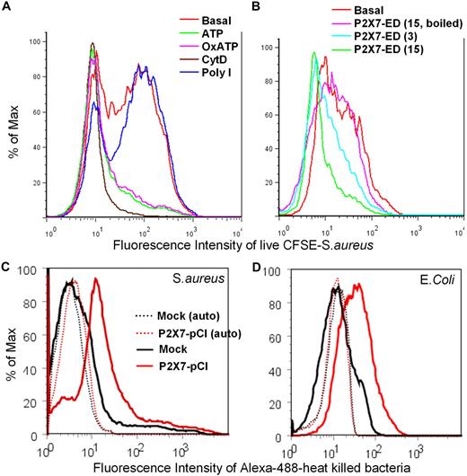 Figure 5. P2X7 regulates phagocytosis of live or dead bacteria in vitro. Human PBMCs (2 × 107/mL in 150 μL of Na medium) were labeled with APC-conjugated anti-CD14 mAb and incubated with or without (A) 1mM ATP for 15 minutes, 0.3mM OxATP for 30 minutes, 20μM CytD for 30 minutes, or 50 μg/mL poly I for 30 minutes; or (B) 3 or 15 μg/mL P2X7-ED for 20 minutes at room temperature before the addition of 10 μL of CFSE-labeled live S aureus. After 60 minutes, cells were incubated with 100 μL of 0.25% trypsin for 2 minutes, followed by vigorous stirring and fixation. (C-D) Typical flow cytometry histograms showing phagocytosis of S aureus (C) and E coli (D) by HEK-293 cells transfected with P2X7-pCI constructs. Cells (3 × 106) were incubated with 20 μg of Alexa 488–conjugated bacteria in 150 μL of Na medium with 0.5mM Ca2+ for 5 hours (S aureus) or 10 hours (E coli). Cells were fixed, and fluorescence from surface-attached bacteria was quenched by trypan blue. Dotted lines show autofluorescence of transfected HEK-293 cells.