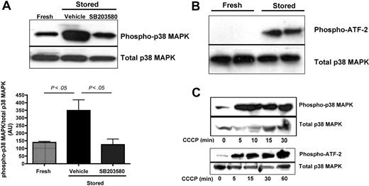 Figure 3. Phosphorylation and activity of p38 MAPK are increased during in vitro storage of platelets. Mouse platelets were isolated from fresh PRP or PRP stored in the presence of SB203580 (40μM) or DMSO (vehicle), washed in Tyrode-N-2-hydroxyethylpiperazine-N′-2-ethanesulfonic acid buffer, and lysed immediately. (A) Immunoprecipitated phospho-p38 MAPK was detected by Western blot analysis using a specific antibody for p38 MAPK and quantified (mean ± SEM); n = 4. (B) The activity of phosphorylated p38 MAPK was assessed in lysates from 2 different preparations of freshly isolated or stored platelets by its ability to phosphorylate the substrate fusion protein ATF-2. (C) Phosphorylation of p38 and ATF-2 in platelets that were treated with 100μM CCCP for the indicated times. Total p38 MAPK was assessed in platelet lysates by Western blot analysis using a specific antibody for p38 MAPK.