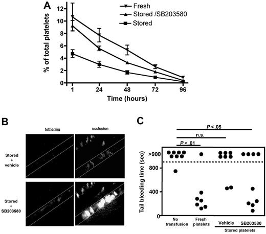 Figure 5. Inhibition of p38 MAPK during storage improves the posttransfusion recovery and hemostatic function of platelets. (A) Platelets from fresh PRP or PRP stored in the presence of DMSO (stored) or SB203580 (40μM; stored/SB203580) were washed and labeled with 2 μg/mL CFSE. A total of 108 platelets/10 g of body weight was infused intravenously into a wild-type mouse. At the indicated time points, blood was drawn and analyzed by flow cytometry. Results are mean percentage of labeled platelets ± SEM; n = 6. (B) FeCl3-induced thrombosis was studied in mesenteric arterioles of mice transfused with 0.5 × 108 SB203580/stored platelets labeled with calcein-red/orange and 1.5 × 108 vehicle/stored platelets labeled with calcein-green. Platelet adhesion (tethering) and thrombus growth were monitored until complete vessel occlusion occurred (occlusion). Representative images are shown. (C) IL4Rα/GPIb-α-tg mice were transfused with the indicated platelet preparations (108 platelets/10 g of body weight). The tail bleeding time was measured 1 hour after platelet transfusion. n.s. indicates not significant.