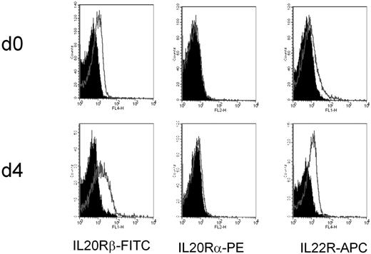 Figure 2. Expression of IL-20Rβ/IL-22R (IL-24R heterodimer) in tonsil B cells by flow cytometry. Tonsil B cells were purified and stained immediately (day 0) or after 3 to 4 days in culture with IL-2 + IL-10 + CD40L. Isotype APC-IgG1k, isotype PE-IgG1k, and biotinylated goat IgG followed by streptavidin, SA-FITC were used as controls.