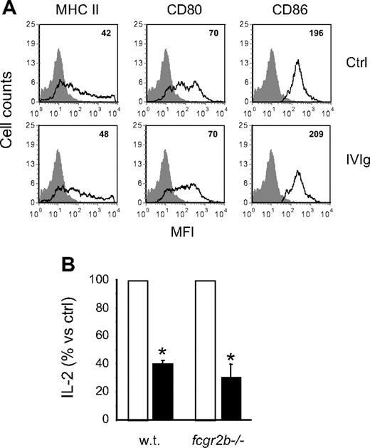 Figure 6. Costimulatory molecules and inhibitory FcγRIIb are not involved in the inhibition of OVA-IC presentation. (A) The cell-surface expression of MHC II, CD80, and CD86 was measured on BMDCs cultured for 48 hours in the presence or absence of IVIg (10 mg/mL). The MFIs are indicated in the upper right corner of the histograms. (B) BMDCs from wild-type or fcgr2b−/− BALB/c mice were used in the OVA-IC antigen presentation assay done with DO-11.10 cells in the presence (■) or absence (□) of IVIg (10 mg/mL). The results are expressed as the percentage of the amount of IL-2 secreted in the presence of IVIg compared with the control condition in the absence of IVIg. Results shown are representative of 2 independent experiments. *P < .001.