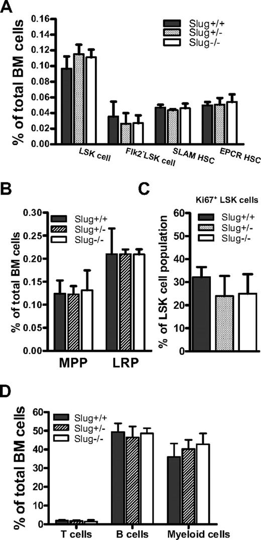 Figure 1. Deletion of Slug does not disturb homeostasis of primitive hematopoietic cells in BM of mice. (A) The frequencies of LSK cells, Flk2− LSK HSCs, SLAM (CD150− CD48+ CD244+) HSCs, and EPCR+ HSCs as a percentage of total BM mononuclear cells in Slug+/+ mice (n = 5), Slug+/− mice (n = 5), and Slug−/− mice (n = 5). (B) The percentage of MPP (CD150−CD48−CD244+) and LRPs (CD150−CD48+CD244+) in BM of Slug+/+ mice (n = 5), Slug+/− mice (n = 5), and Slug−/− mice (n = 5). (C) The frequencies of Ki-67+ cells in LSK cell populations in Slug+/+ mice (n = 5), Slug+/− mice (n = 5), and Slug−/− mice (n = 5). (D) The frequencies of T, B, and myeloid cells in Slug+/+ mice (n = 5), Slug+/− mice (n = 5), and Slug−/− mice (n = 5). Data shown were the mean ratio ± SD. There is no significant difference for each type of cells in Slug+/+ mice vs Slug+/− mice vs Slug−/− mice.