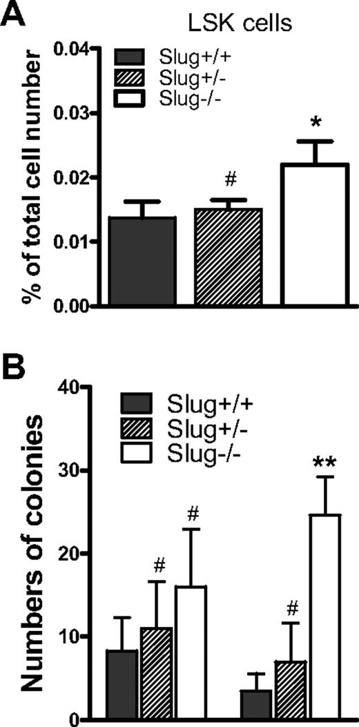 Figure 2. CFU-S numbers are elevated in Slug−/− mice. (A) The frequencies of LSK cells as a percentage of total spleen mononuclear cells in Slug+/+ mice, Slug+/− mice, and Slug−/− mice. (B) Numbers of BM-derived and spleen-derived day 16 CFU-S colonies in Slug+/+, Slug+/−, and Slug−/− mice. For CFU assays, BM cells or spleen cells (8 × 104) were injected into lethally irradiated mice. Data are mean ± SD (n = 3 per group). #P > .05, *P < .05, and **P < .01 (Slug−/− or Slug+/− vs Slug+/+).