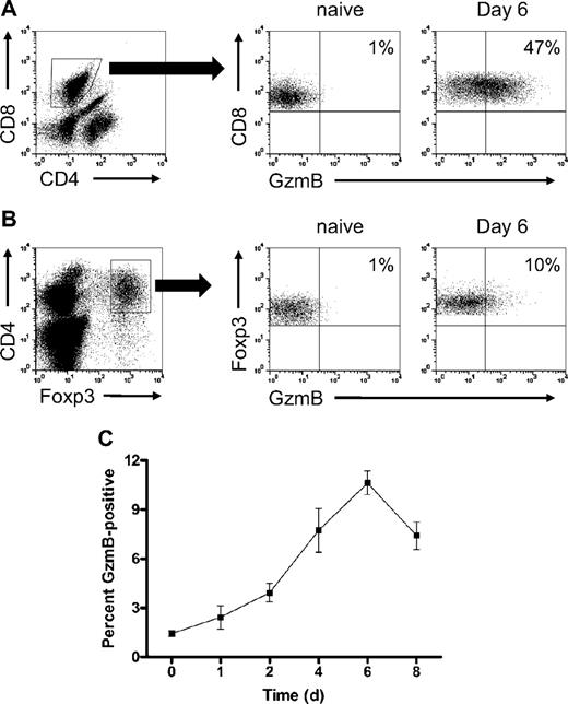 Figure 1. Alloactivated Treg cells express granzyme B during in vitro MLRs. The 129/SvJ WT (H-2Kb) splenocytes were cultured with irradiated (2000 cGy) Balb/c WT (H-2Kd) splenocytes in complete medium supplemented with 50 U/mL IL-2. At various time points, splenocytes were harvested and analyzed by flow cytometry for granzyme B expression. (A) Representative flow plots of granzyme B expression, gated on naive and day 6 MLR-stimulated CD8+ T cells. (B) Representative flow plots of granzyme B expression, gated on naive and day 6 MLR-stimulated CD4+Foxp3+ Treg cells. (C) Summary graph of percentage granzyme B–expressing Treg cells (n = 3 independent MLR cultures per time point).