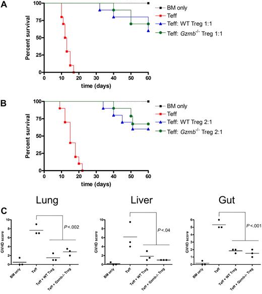 Figure 5. Treg cells do not require granzyme B to rescue hosts from GVHD lethality or to prevent GVHD target organ damage. Lethally irradiated (900 cGy) Balb/c mice received 2 × 106 129/SvJ TCD BM cells with or without 4 × 105 129/SvJ CD25− Teff cells (both CD4+ and CD8+) and either (A) 4 × 105 or (B) 2 × 105 wild-type or Gzmb−/− CD4+CD25+ Treg cells. Kaplan-Meier survival curves of recipient mice, pooled from 2 independent experiments (n = 10 mice per group), are shown. (C) Seven days after transplantation, 3 mice per experimental group (as outlined in panel A) were killed, and portions of lung, liver, and gut were prepared for histopathologic analysis. There was no statistically significant difference between groups receiving WT or Gzmb−/− Treg cells.