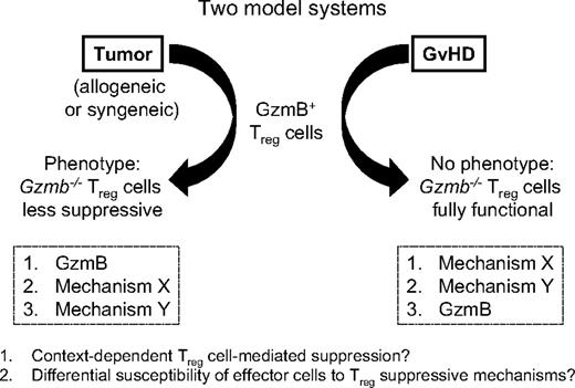 Figure 7. Model-dependent role of granzyme B in Treg cell–mediated suppressive function. Schematic illustrating the differential phenotypes observed with Gzmb−/− Treg cells in suppressing antitumor responses and GVHD.