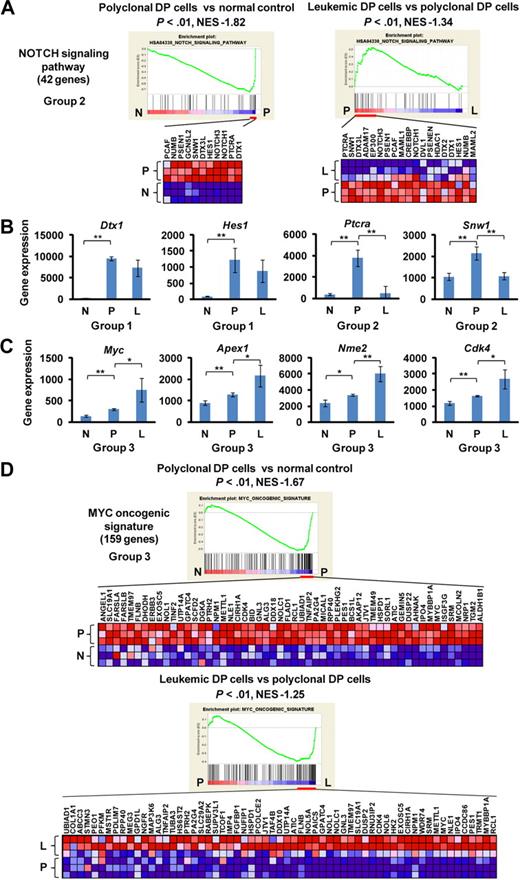 Figure 2. Up-regulation of the Notch1 pathway at early phase of leukemogenesis and up-regulation of the Myc pathway at early and late phases of leukemogenesis. (A) GSEA histograms for the gene set “NOTCH signaling pathway.” The enrichment score (ES; y-axis) reflects the degree to which a gene set is overrepresented in normal control (N), polyclonal DP cells (P), and leukemic DP cells (L) at the extreme left or right of the entire ranked list. Each solid bar represents 1 gene within a gene set. Heat-map image illustrates gene expression levels of the leading edge subset. The normalized enrichment score (NES) and the nominal P value are indicated. (B) Expression of representative genes (Dtx, Hes1, Ptcra, and Snw1) in the Notch signaling pathway. Significance was evaluated by the Student t test: **P < .01. Data are mean ± SD values of triplicate experiments. (C) Expression of Myc and its targets (Apex1, Nme2, and Cdk4) in each cell. Significance was evaluated by the Student t test: *P < .05, **P < .01. Data are mean ± SD values of triplicate experiments. The NES and the nominal P value are indicated. (D) GSEA histograms for the gene set representing “MYC oncogenic signature.” See panel A description for details of the GSEA histogram.