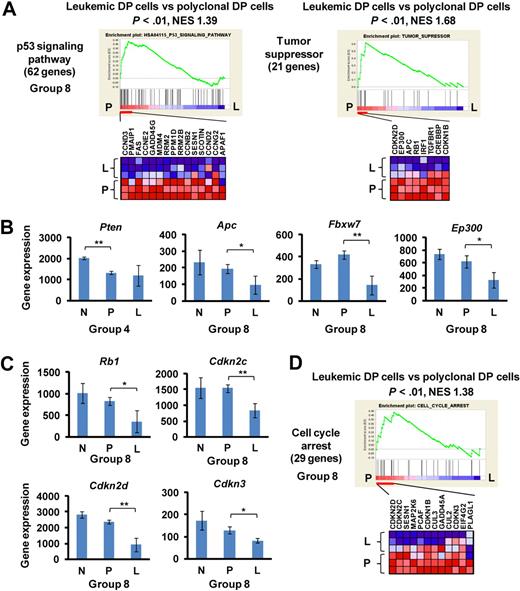 Figure 3. Down-regulation of tumor suppressors and cell cycle regulators at the late phase of leukemogenesis. (A) GSEA histograms for the gene sets “p53 signaling pathway” and “tumor suppressor.” See Figure 2A description for details on the GSEA histogram. The NES and the nominal P value are indicated. Normal control (N), polyclonal DP cells (P), and leukemic DP cells (L). (B) Expression of Pten, Apc, Fbxw7, and Ep300 at the normal (control), polyclonal DP cells, and leukemic DP cells. Significance was evaluated by the Student t test: *P < .05, **P < .01. Data are mean ± SD values of triplicate experiments. (C) Expression levels of the cell cycle regulators Rb1, Cdkn2c, Cdkn2d, and Cdkn3. Significance was evaluated by the Student t test: *P < .05, **P < .01. Data are mean ± SD values of triplicate experiments. (D) GSEA histogram for the gene set “cell cycle arrest.”