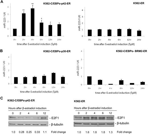 Figure 1. C/EBPα-p42 up-regulates miR-223 and leads to down-regulation of E2F1 protein expression. (A-B) K562-C/EBPα-p42-ER cells and K562-ER cells (A) and K562-C/EBPα-p30-ER cells and K562-C/EBPα-BRM2-ER cells (B) were induced with β-estradiol (5μM) for respective time points. Total RNA was analyzed by quantitative real-time RT-PCR with oligos for miR-223. Data are represented as mean ± SD from 3 independent experiments. *P < .05; **P < .01. (C) K562-C/EBPα-p42-ER cells and K562-ER cells were induced with β-estradiol (5μM) for respective time points. Total protein was analyzed by Western blot analysis with anti-E2F1 antibody. Values below the gel image indicate the down-regulation (fold) of E2F1 protein level normalized to β-tubulin.
