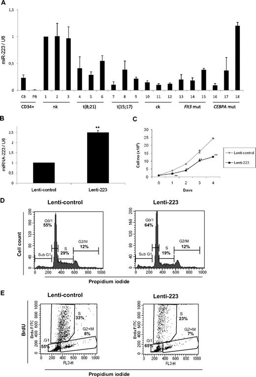Figure 3. miR-223 functions as a tumor suppressor in acute myeloid leukemia. (A) Quantitative real-time RT-PCR for miR-223 was carried out using bone marrow cells derived from AML patients. Values were normalized with U6. Cord blood (CB) and peripheral blood (PB) and AML with normal karyotype (nk), with complex karyotype (ck), with FLT3 mutation (FLT3 mut), and with CEBPA mutation (CEBPA mut). Data are represented as mean from 3 experiments. (B) U937 cells were transfected with lentiviral control or lenti-223 vectors. Two days later, total RNA was isolated and analyzed for miR-223 by quantitative real-time RT-PCR. Data are represented as mean ± SD from 3 independent experiments. **P < .01. (C) Growth curve of U937 cells transfected with lentiviral control or lenti-223 vectors. Data are represented as mean ± SD from 3 independent experiments. **P < .01. (D) Analysis of cell-cycle distribution during miR-223 lentiviral overexpression by flow cytometry. Representative FACS data from U937 cells transfected for 2 days with control and miR-223 lentiviral vector. (E) Flow cytometry of BrdU/PI-stained U937 cells transfected with lentiviral control or lenti-223 vectors from a representative experiment. Two days after lentiviral transfection, cells were labeled with BrdU for 45 minutes. Cells were then fixed, stained with FITC-labeled anti-BrdU antibody and PI, and analyzed by flow cytometry to determine the cell-cycle distribution. Bivariate analysis of the incorporation of BrdU (BrdU FITC, vertical axis) and the DNA content (FL3, PI staining, horizontal axis) was performed.