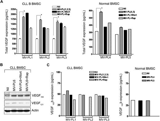 Figure 5. MVs induce expression of VEGF in CLL-BMSCs. (A) Production of total VEGF in the conditioned media of BMSCs stimulated with MVs as described previously was measured by ELISA and mean values are presented with SDs (pg/mL per 105 cells). *Statistical significance (P < .001) compared with the unstimulated controls. (B) CLL-BMSCs were exposed to MVs with or without presence of wortmannin or rapamycin for 24 hours. Cell lysates were analyzed for the expression of different isoforms of VEGF by Western blot by the use of an antibody to human VEGF. Results indicate that MVs induce expression predominantly of the VEGF165 isoform in CLL-BMSC. Actin was used as loading control. (C) Production of the antiangiogenic isoform VEGF165b in the aforementioned (B) conditioned media of BMSCs stimulated with MVs was measured by ELISA and mean values are presented (pg/mL per 105 cells).
